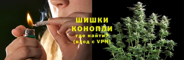 Альфа ПВП Лиски