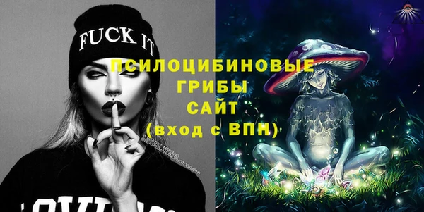 Альфа ПВП Лиски