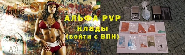 прущие грибы Лихославль