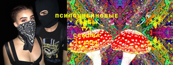 прущие грибы Лихославль